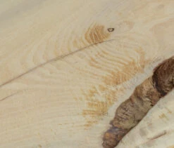 8ft Autumnwood Table Set With 6 Wildwood Benches