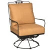 Woodard Briarwood Swivel Rocking Lounge Chair