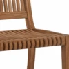 HiTeak Palm Side Chair