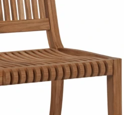 HiTeak Palm Side Chair