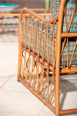 Woodard Aluminum Cane Sofa