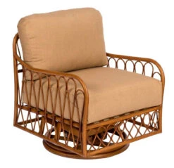 Woodard Aluminum Cane Rocking Lounge Chair -Patio Furniture Store cane swivel chair edited 61167.1668699981