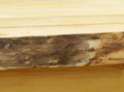 Evening Grove 24" Side Table