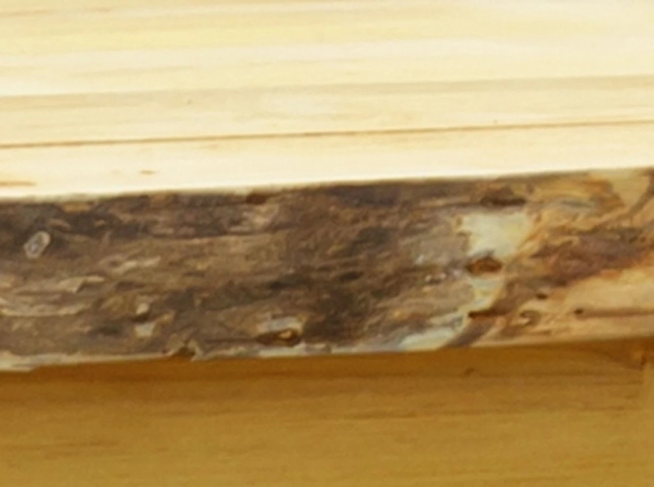 Evening Grove 24" Side Table 1 Evening Grove 24" Side Table