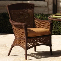 Lloyd Flanders Vinyl Wicker Grand Traverse Dining Armchair -Patio Furniture Store grand traverse dining chair 22184.1675806519