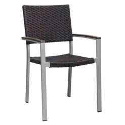 Source Furniture Fiji Wicker Dining Arm Chair Set/2